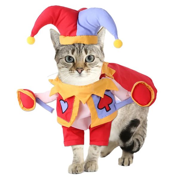 Dog &amp; Cat Dress Up Costume - Jester Design