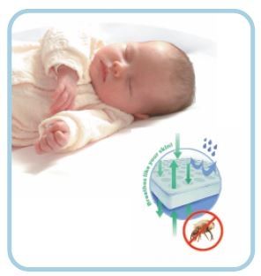 Snuggletime - Healthtex Mattress - Combinette Cot