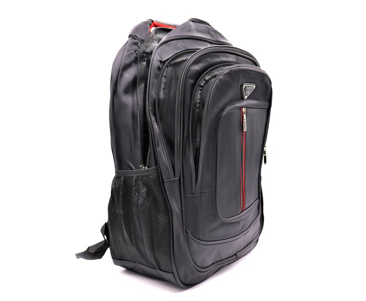 Large Backpack / Urban Student Backpack (555)