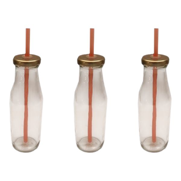 Bottle with Straw 3pc Combo 300ml Monica