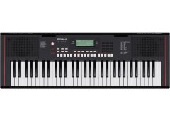 Roland E-X10 - 61-Key Arranger Keyboard
