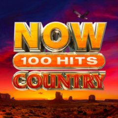 Now 100 Hits (CD / Box Set)