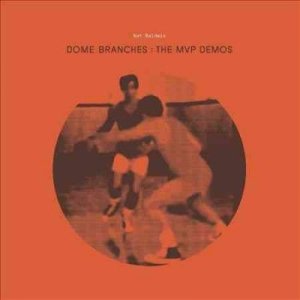 Nat Baldwin - Dome Branches (CD)