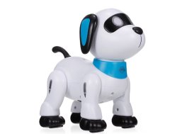 Magnet Trading Voice programming stunt dog