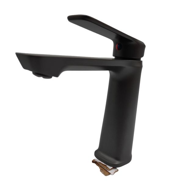 Matte Black Single-Handle Washbasin &amp; Kitchen Faucet