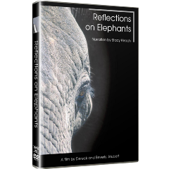 Reflections On Elephants - (DVD)