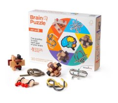 Brain Puzzle Set of 6 - Brainteasers - Riddles - Recent Toys