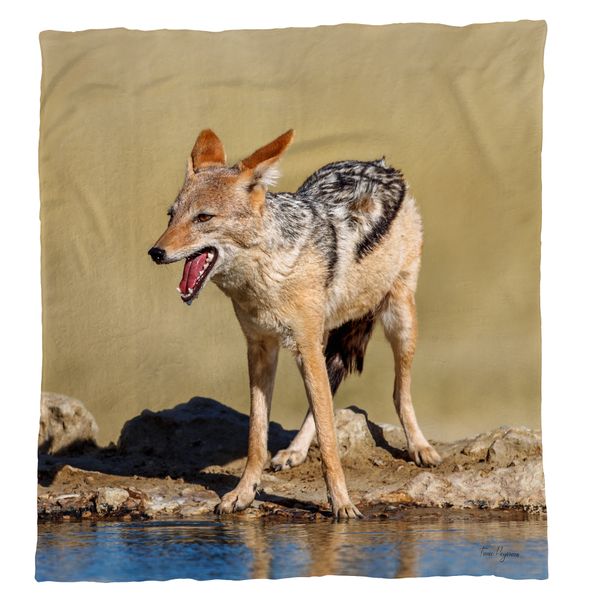 Wildlife Blacked At Waterhole Light Weight Fleece Blanket by Fanie Heymans