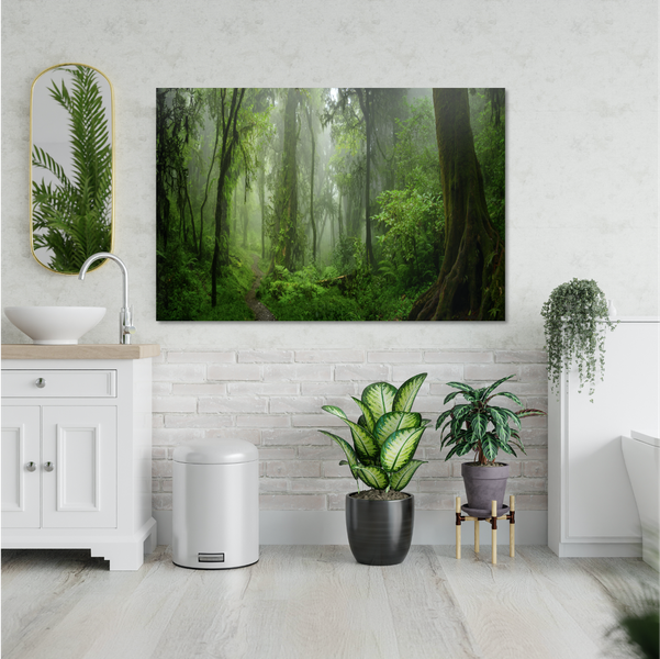 Zebra Canvas - 119 x 84cm (Landscape)