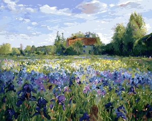 Paint By Numbers Framed Canvas DIY 40cmx50cm - Lavender Fields