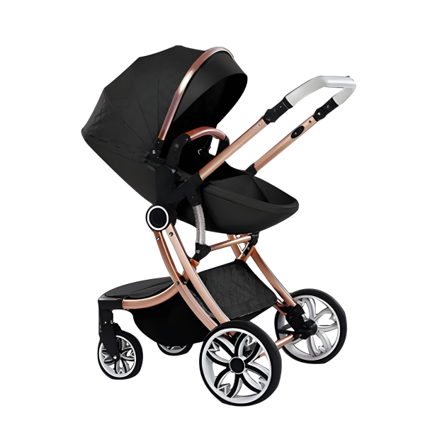 Baby Stroller Travel System