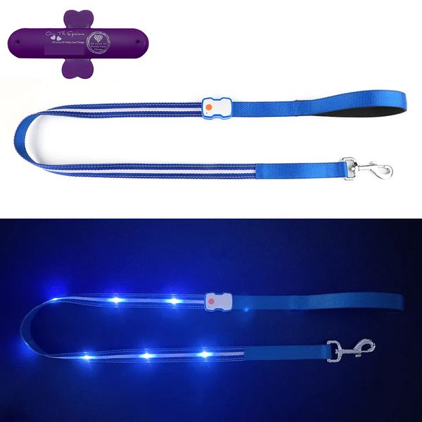 Illuminating Led Waterproof Nylon Reflective Rechargeable Dog Leash