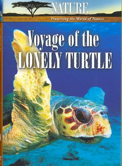 Nature:Voyage of the Lonely Turtle - (Region 1 Import DVD)