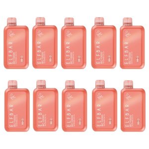 ElfBar BC10000 Rechargeable Disposable Vape 5% - Watermelon Ice - 10 Pack