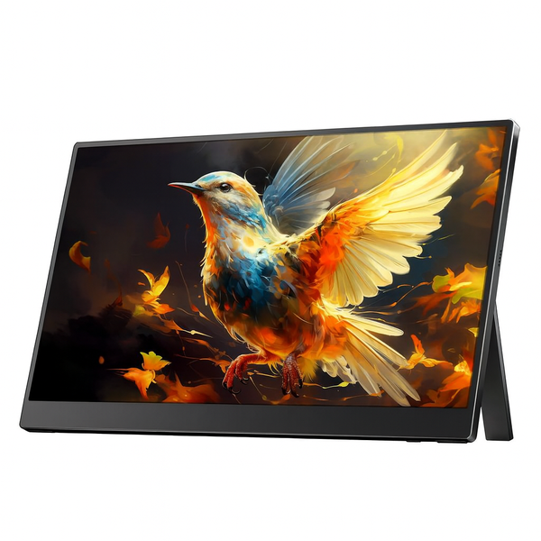 15.6'' Portable Monitor 1920x1080 Display Plug and Play FHD Monitor