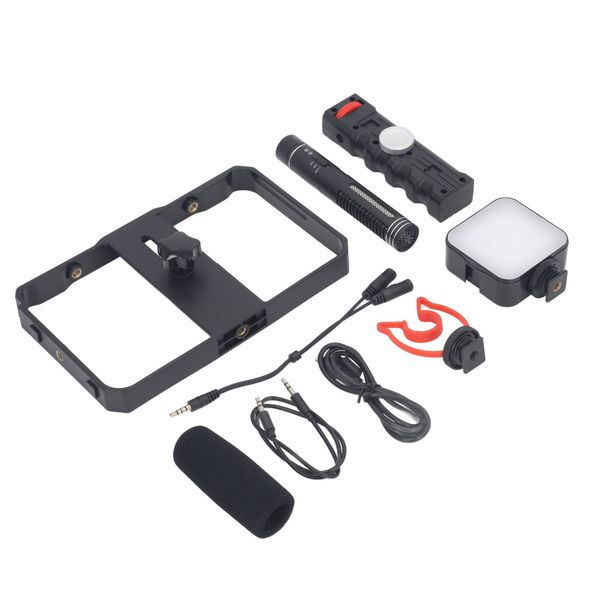 Phone video rig with microphone