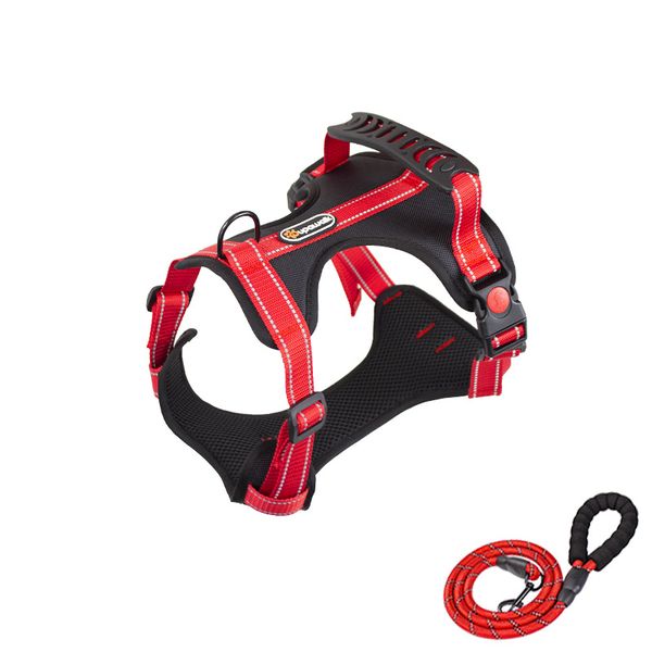 Afile - Cabinet Rasp - 250mm - 4 Pack