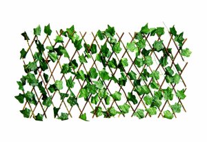 Trellis-expandable 1.2m-Fine living