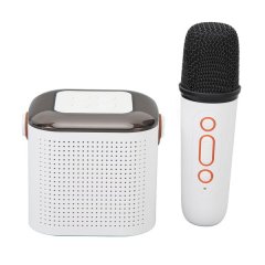 BT Karaoke Machine, HiFi, Mic