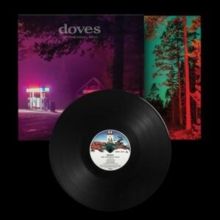 The Universal Want (Vinyl / 12" Album)