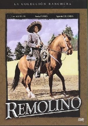Remolino - (Region 1 Import DVD)