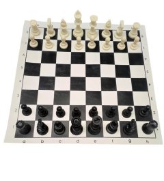 Fury Vinyl Chess set