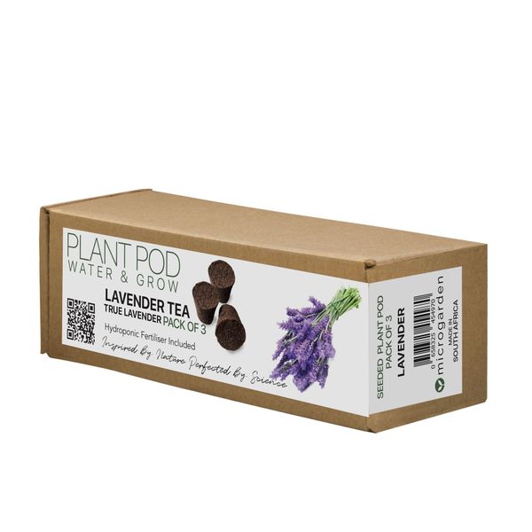 PLANT POD - Lavender Tea - Pack of 3