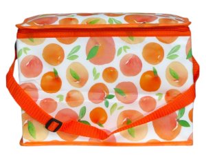 Cooler Bag 10L
