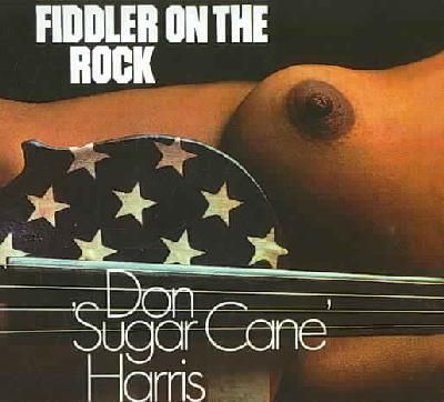 Fiddler on the Rock - (Import CD)