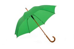 Alice Umbrellas Classic Hook Handle