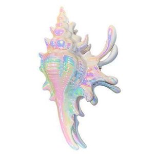 Hair Clip Conch Hair Claw Clips Beach Claw Clips Hair Accessories For Women