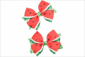 Girls Watermelon Clips Set - 2 Piece
