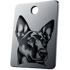 Canvas Cowboy Pets QR Pet Recovery Breed Variations - 25mm x 30mm