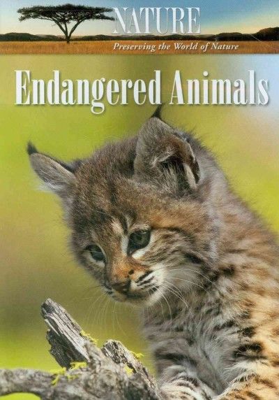 Nature:Endangered Animals - (Region 1 Import DVD)