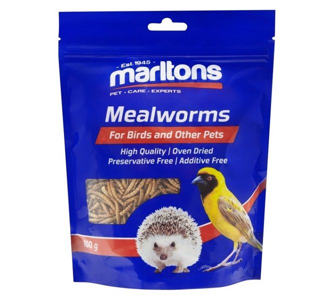 32270C Dried Mealworms (100g)