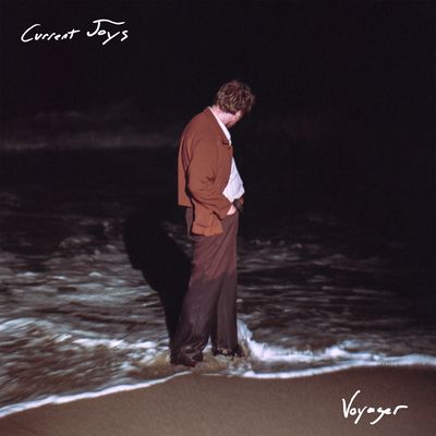 Voyager (Vinyl / 12" Album)