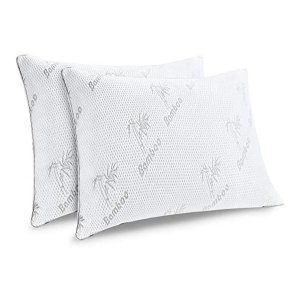 Loriene Bamboo Standard Pillow Pair