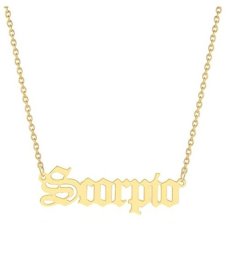 Scorpio Horoscope Birth Star Sign Zodiac Astrology Necklace Birthday Gift