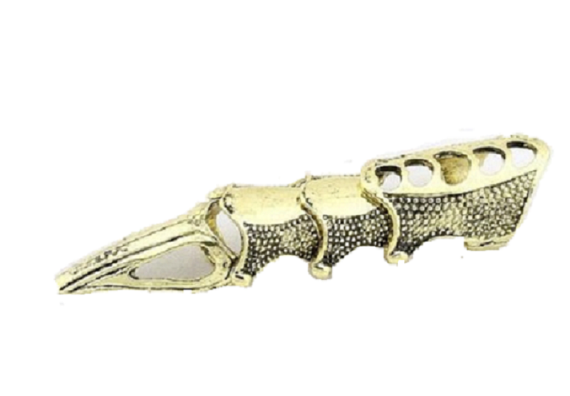 Gold Gothic Punk Rock Full Finger Amor Ring (RG-J059-GO)