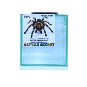 Reptile Resort T01G Glass Spider Enclosure 70x70x70mm
