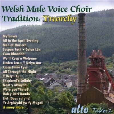 Welsh Male Voice Choir Tradition: Treorchy (CD / Album)