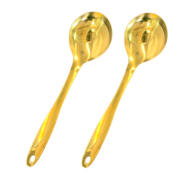 Charming Gold Stainless Steal Serving Spoon 2 Piece 26cm