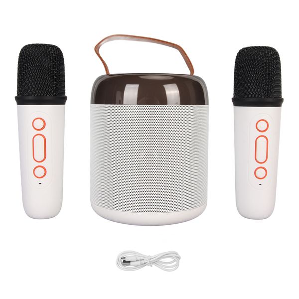 Wireless Karaoke Speakers Bluetooth5.3 Speaker with 2 Microphones White