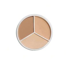Three Color Concealer Palette