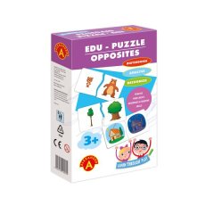 Wise Owl Opposites Puzzle