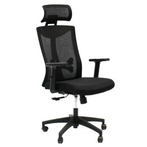 Costco Office Chair, Black
