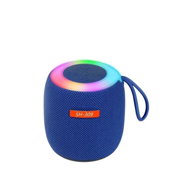 SH-309 Portable Bluetooth Speaker with Mini Subwoofer