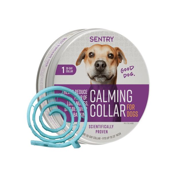 Sentry - Calming Dog Collar