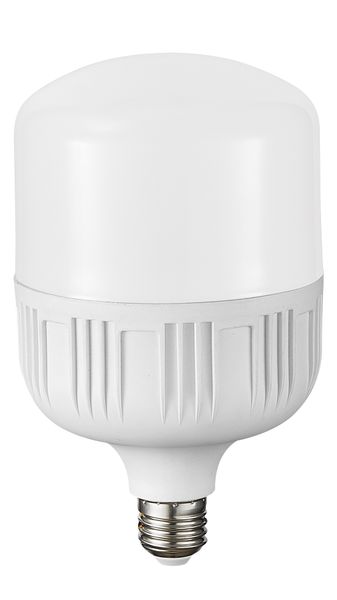 24 Watt LED Bulb in Cool White - T100