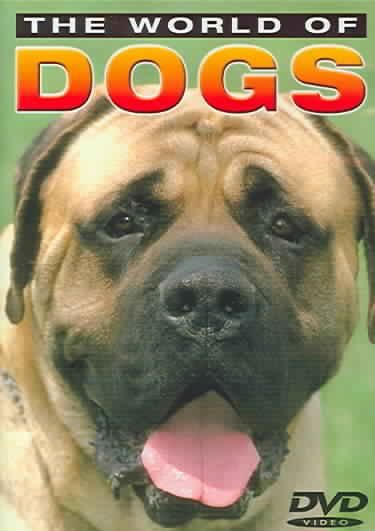 Basic Dog Training - (Region 1 Import DVD)